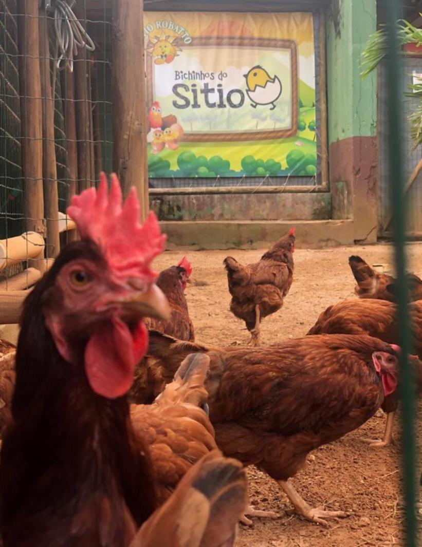 קמאסארי Sitio Robatto Ecopousada מראה חיצוני תמונה